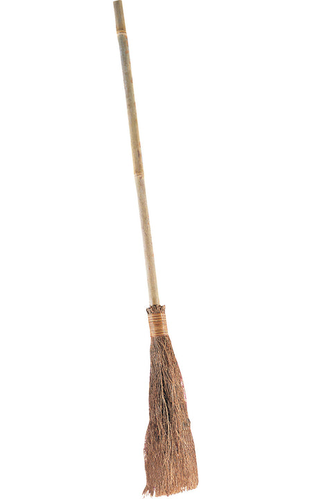 Witch Broom Costume Accessory