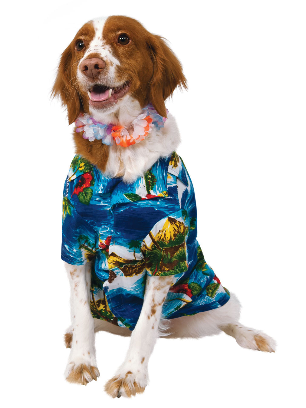 Hawaiian, Multi, Forum, Pet Costumes, Small, Back
