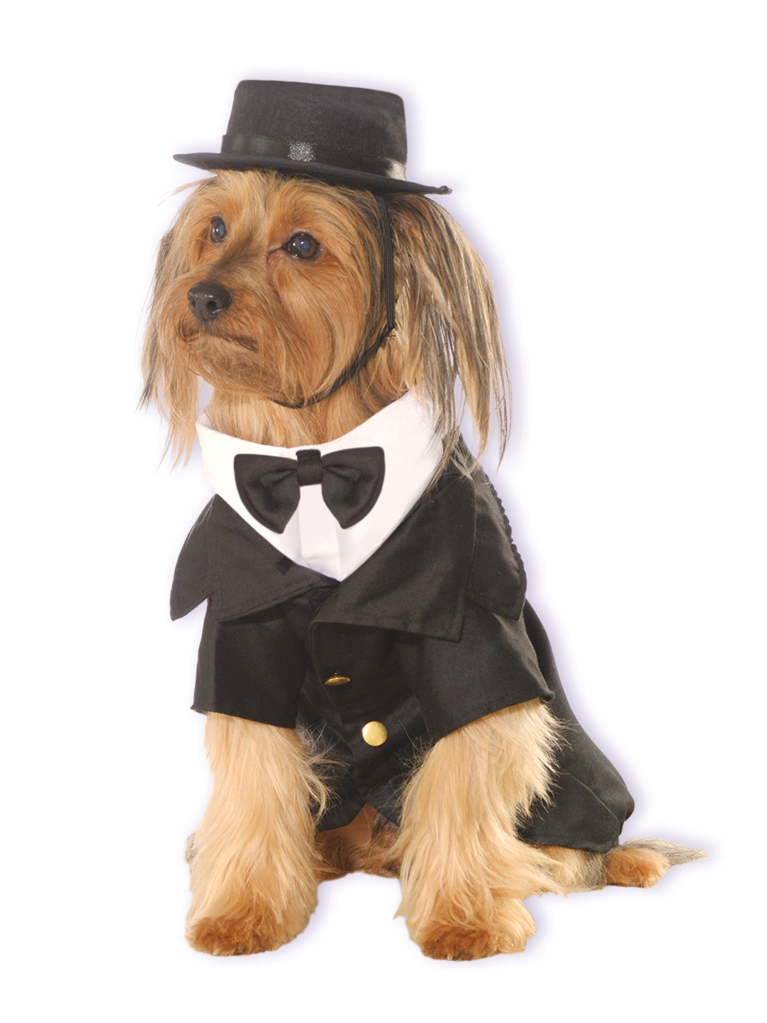 Dapper, Multi, Forum, Pet Costumes, Large, Front