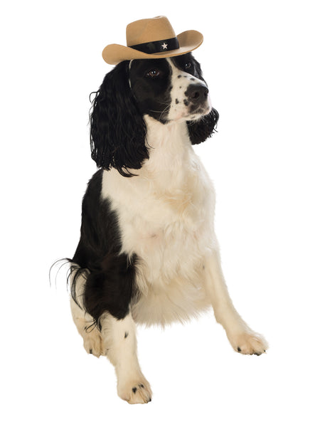 Brown Cowboy Hat Pet Costume