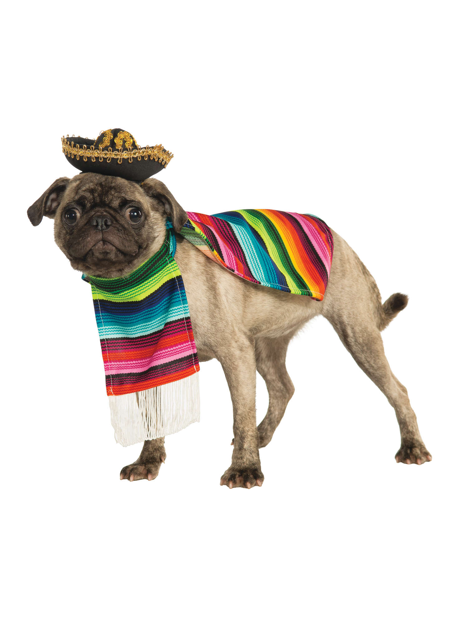Mexican, Multi, Generic, Pet Costume, Extra Large, Front