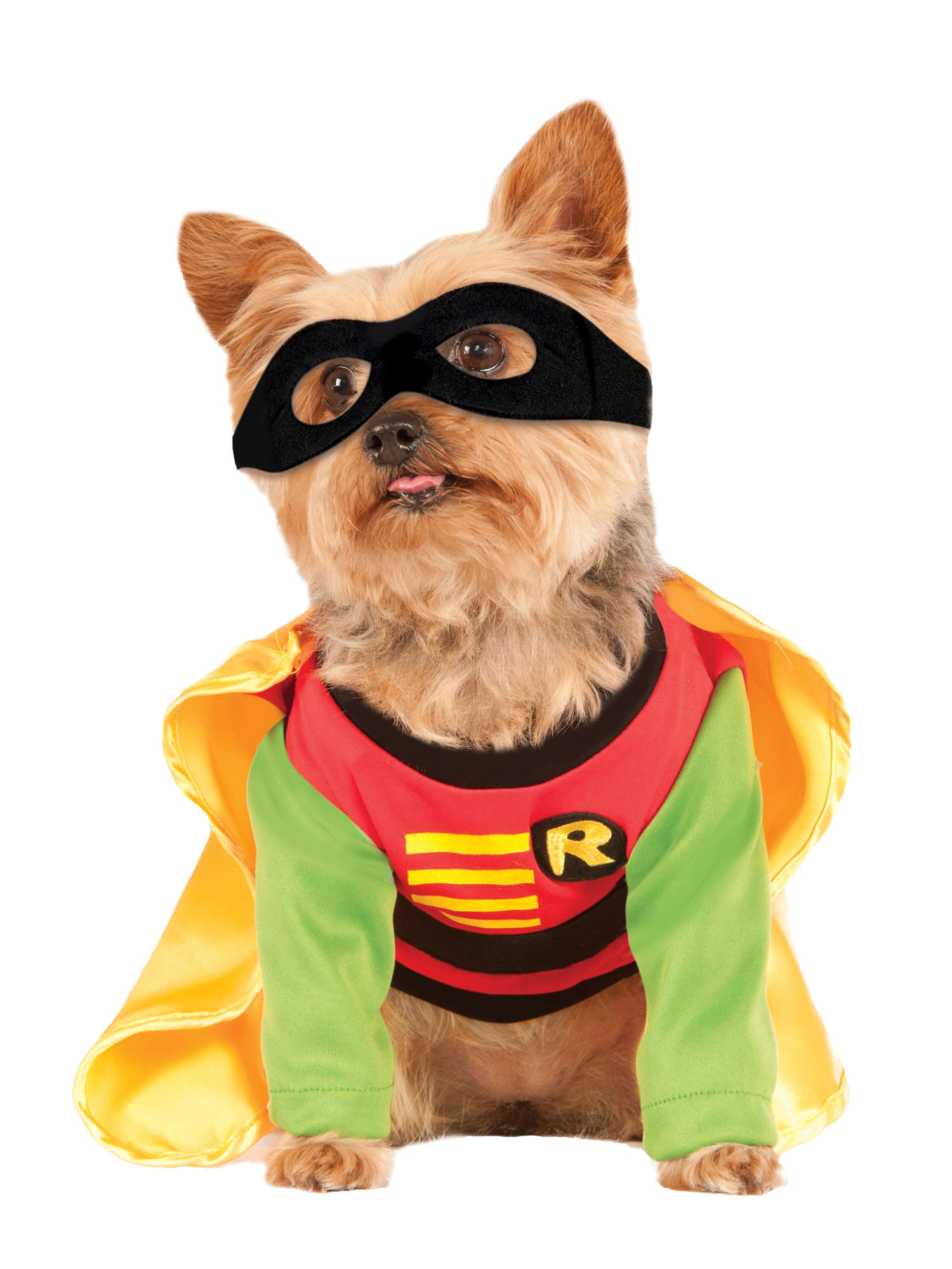 Robin, Batman, Multi, DC, Pet Costume, Extra Large, Front