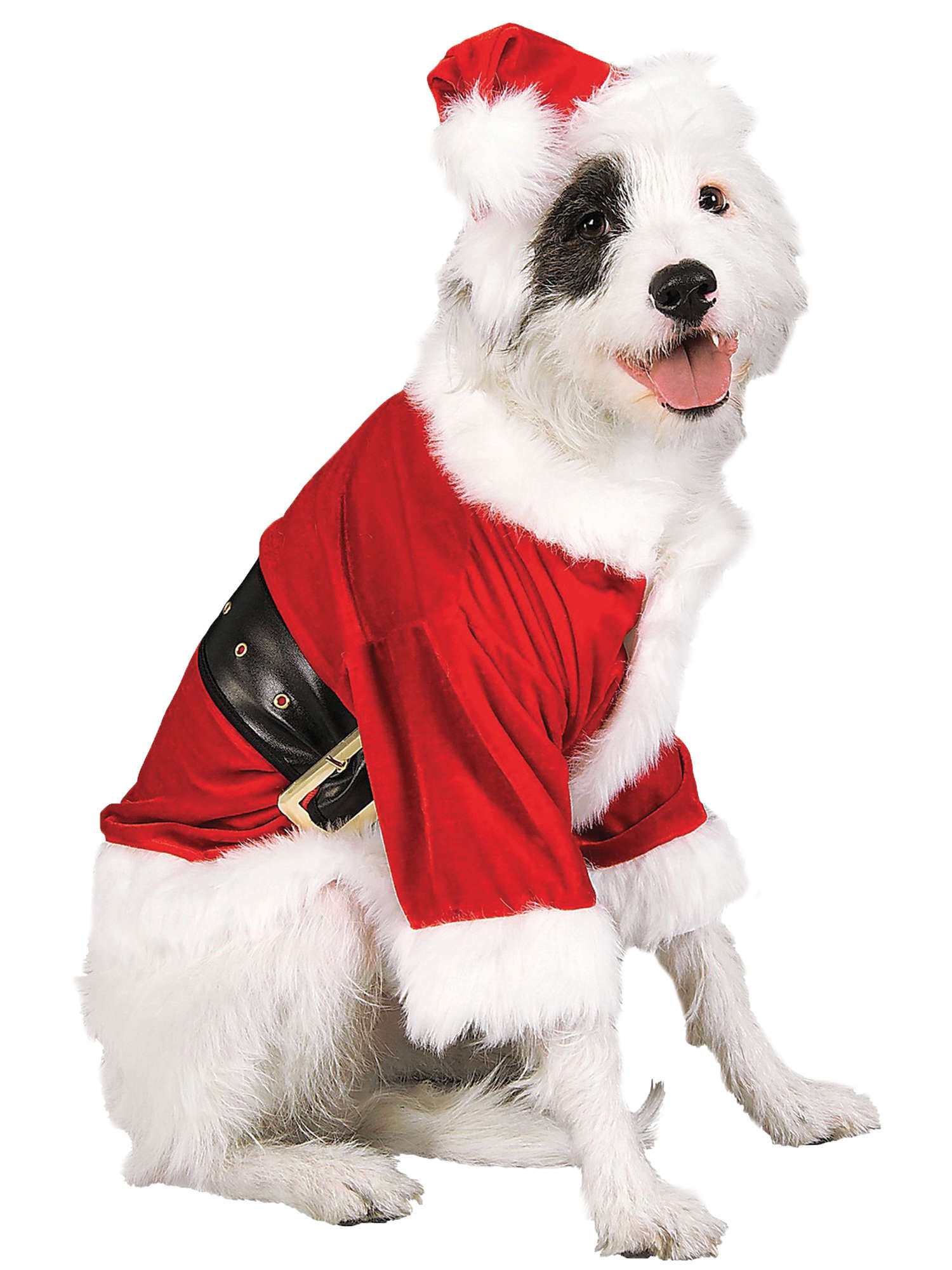 Santa Claus, Multi, Generic, Pet Costume, Small, Front