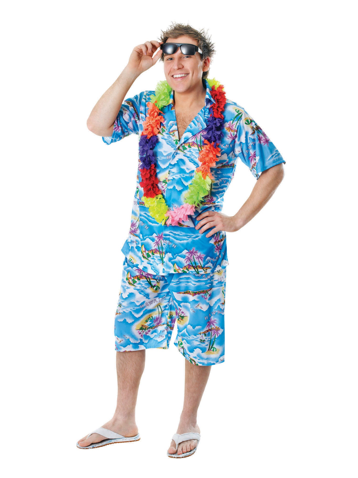 Hawaiian, Multi, Generic, Adult Costume, Standard, Front