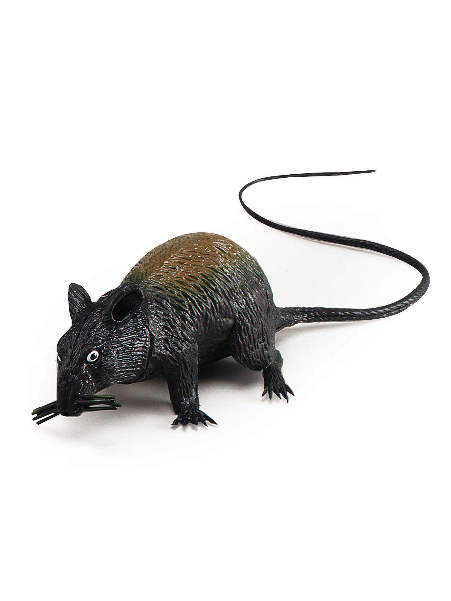 Rat, Multi, Generic, Accessories, One Size, Front