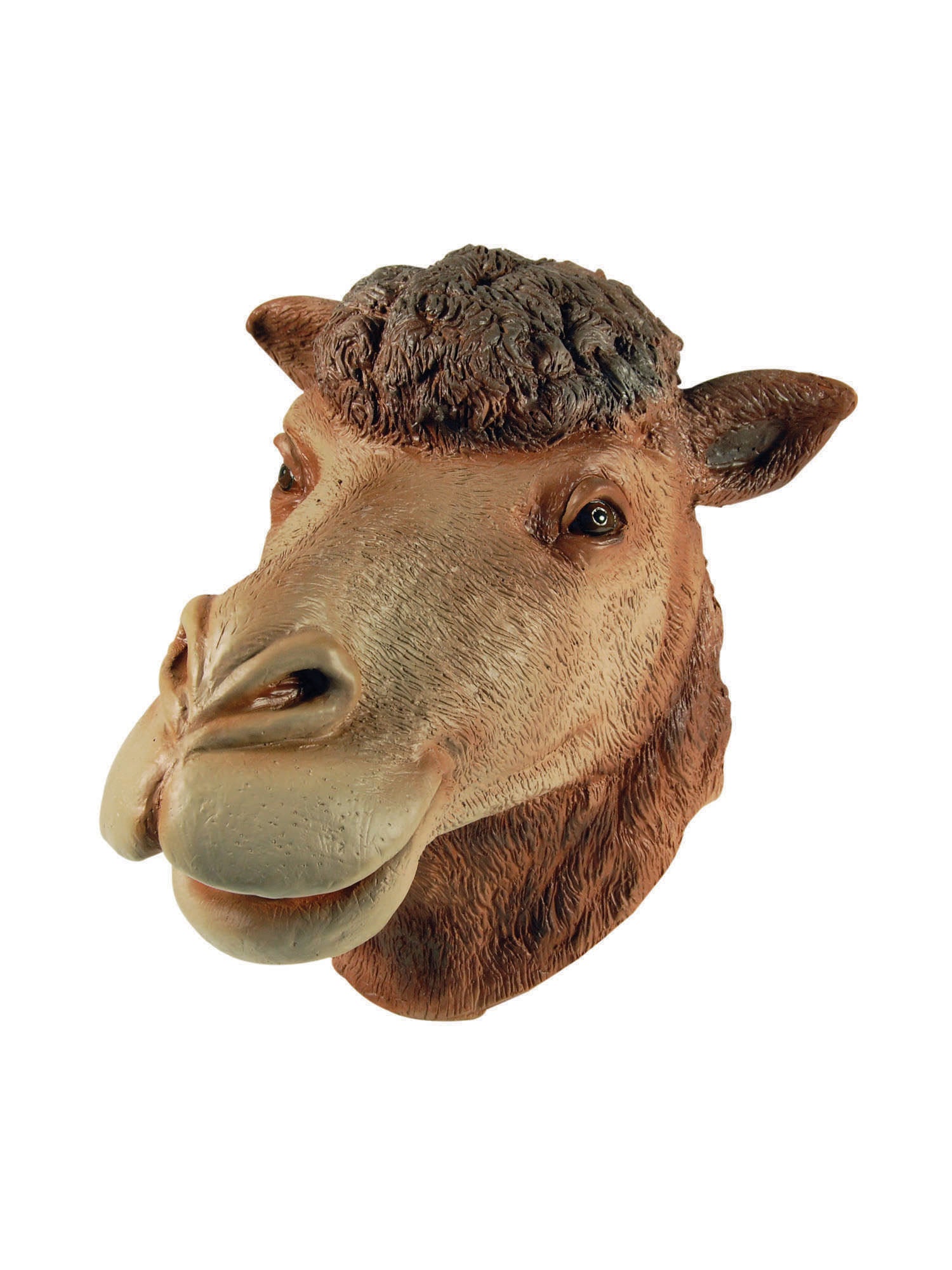 Camel Mask, Multi, Generic, Mask, One Size, Front