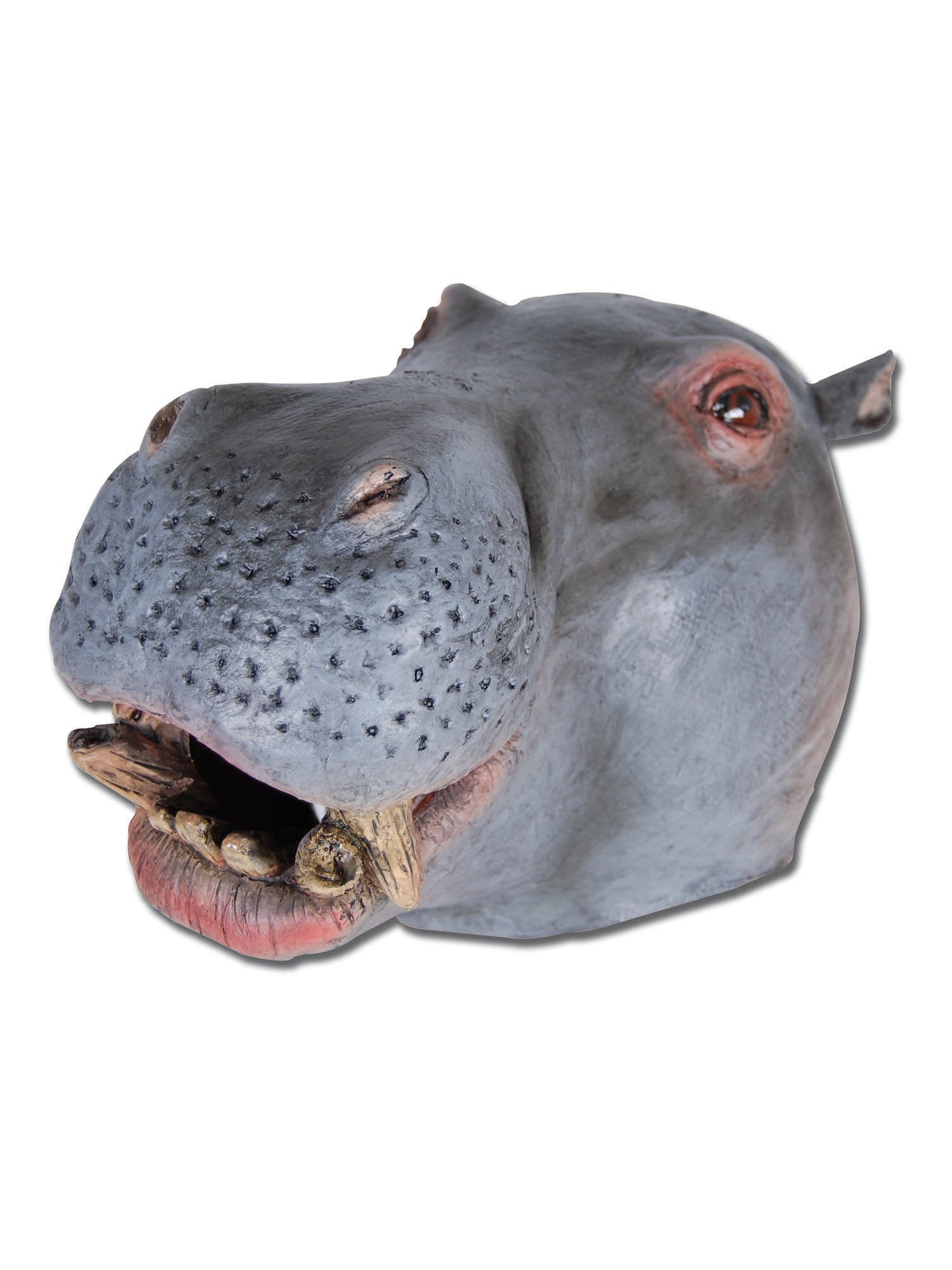 Hippo, Multi, Generic, Mask, One Size, Front