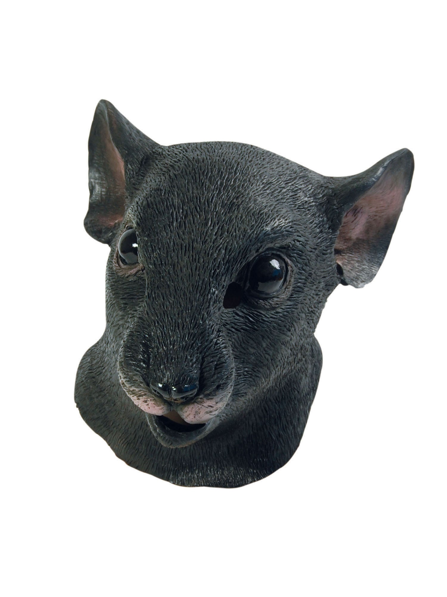 Rat Mask, Multi, Forum, Masks, One Size, Front