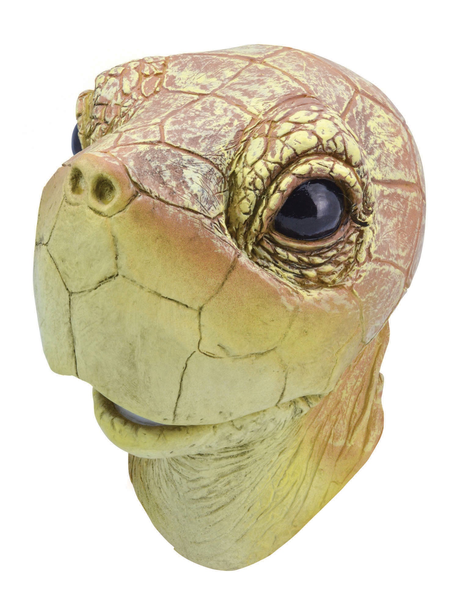 Turtle Mask, Multi, Generic, Mask, One Size, Front