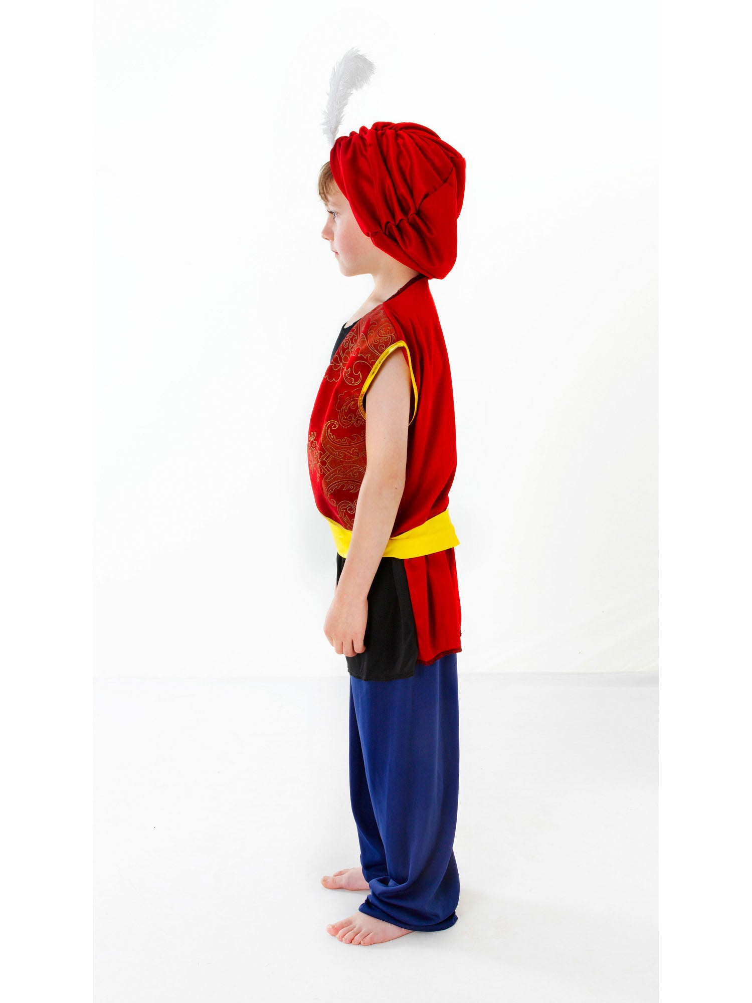 Arabian, Multi, Generic, Kids Costumes, Extra Large, Back