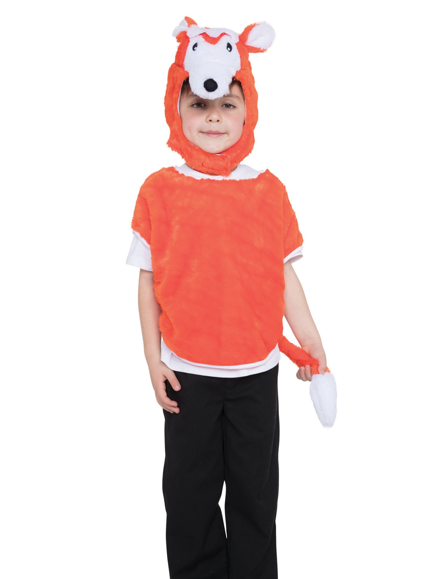 Fox, Multi, Generic, Kids Costumes, One Size, Front