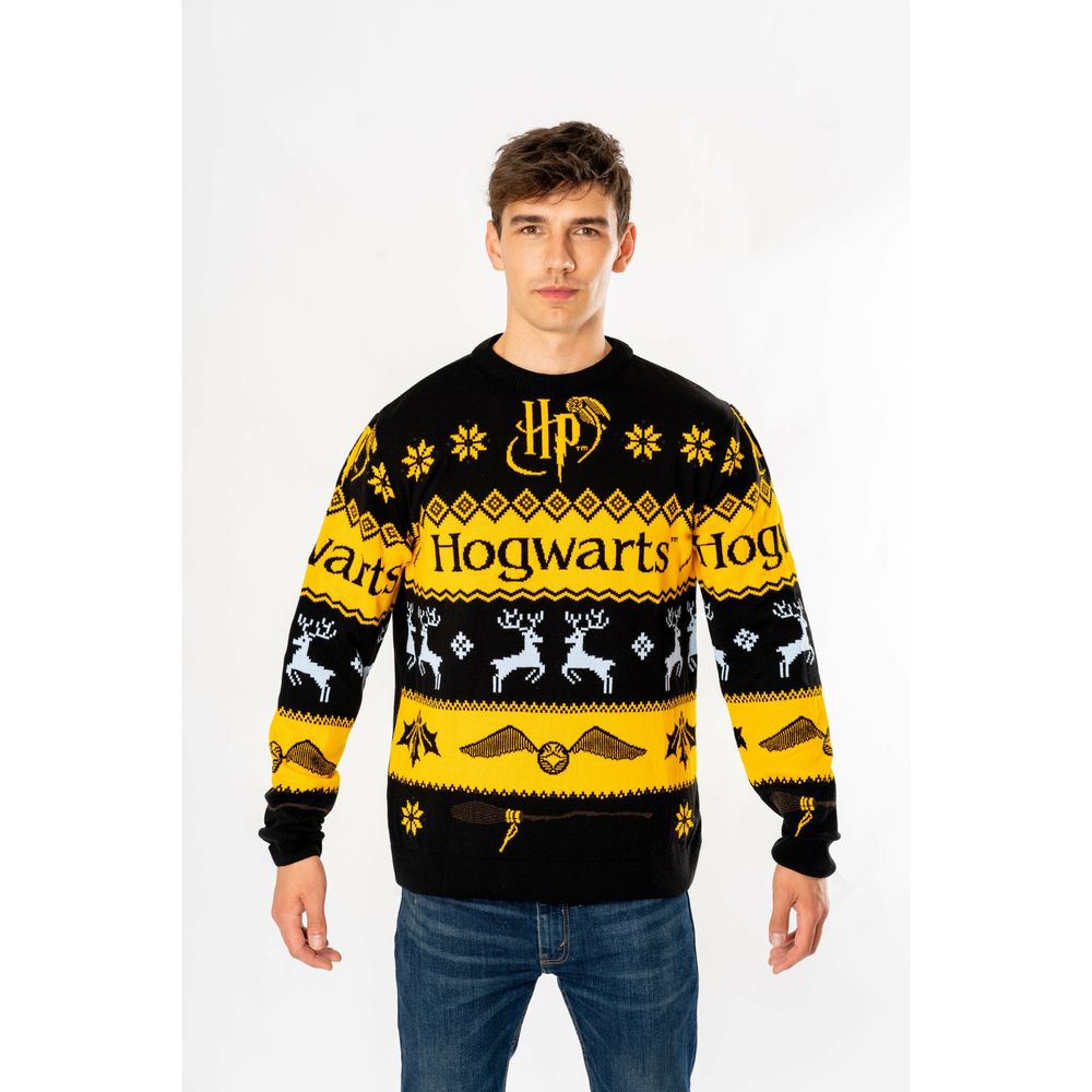 Harry Potter, Multicoloured, Harry Potter, Knit Wear, , Front