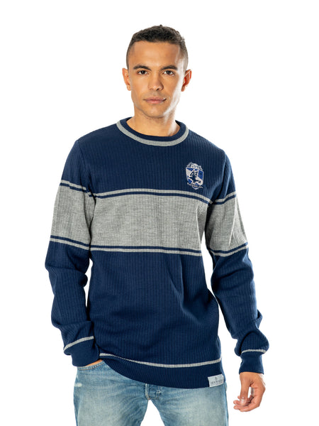 Harry Potter Ravenclaw Adult Varsity Jumper