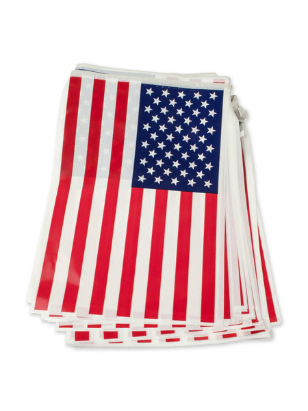 Usa Bunting