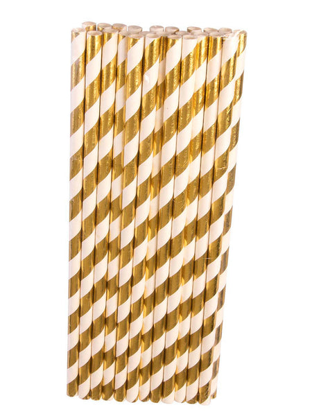 Paper Straws 24 Pack