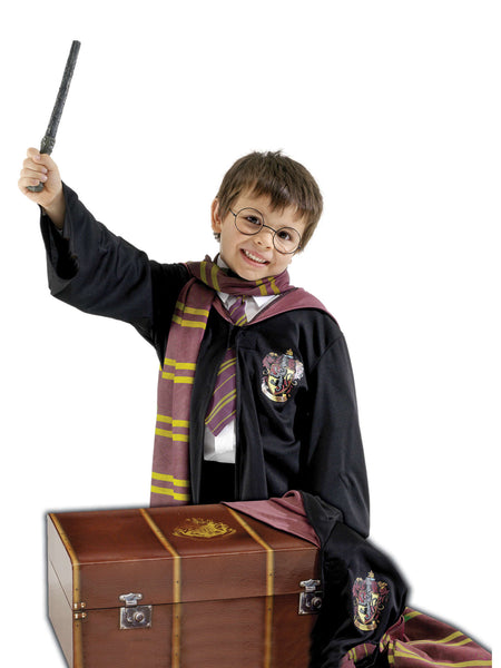 Kids Harry Potter Trunk Costume Set