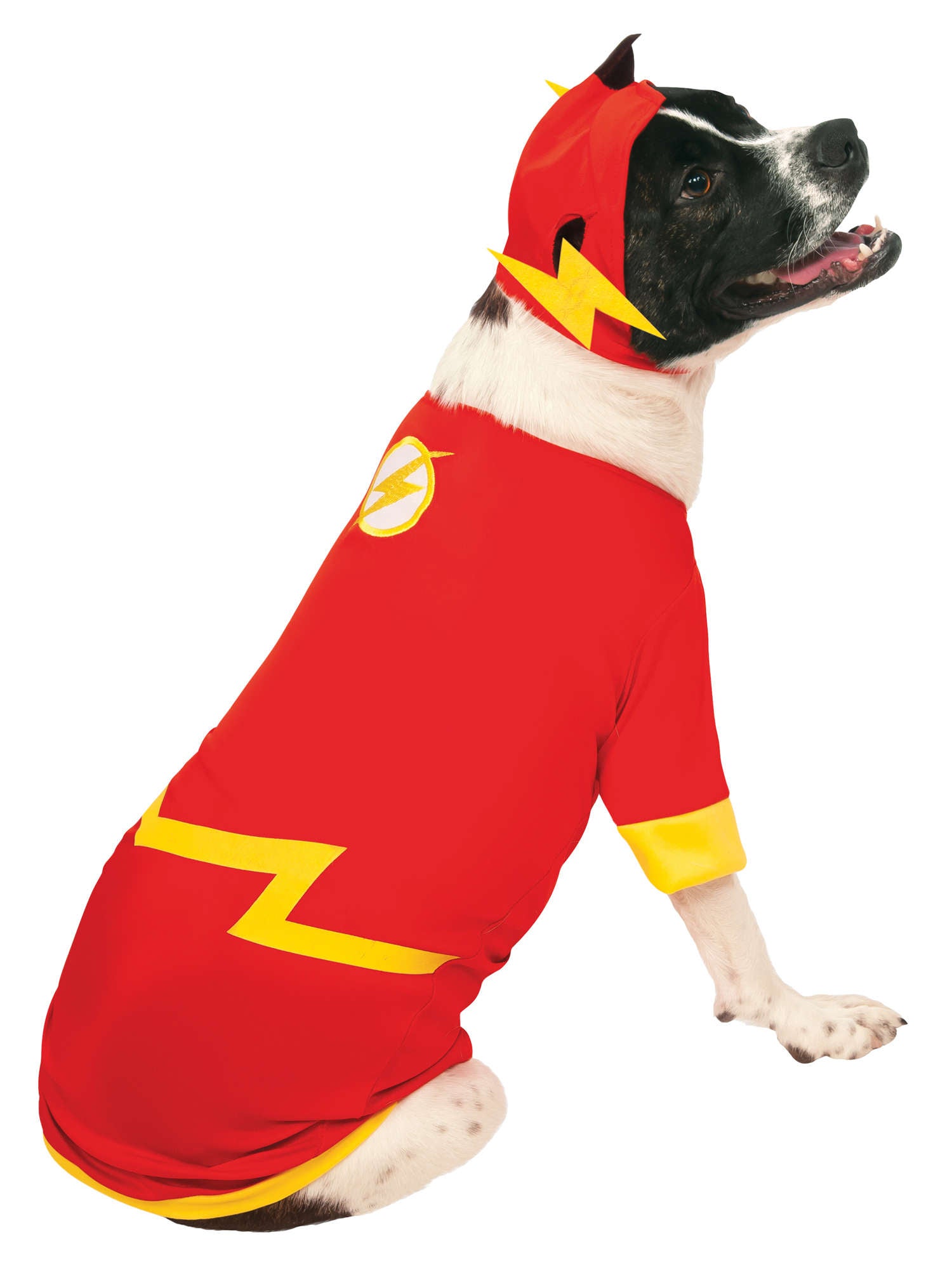 The Flash, Multi, DC, Pet Costume, Extra Large, Front
