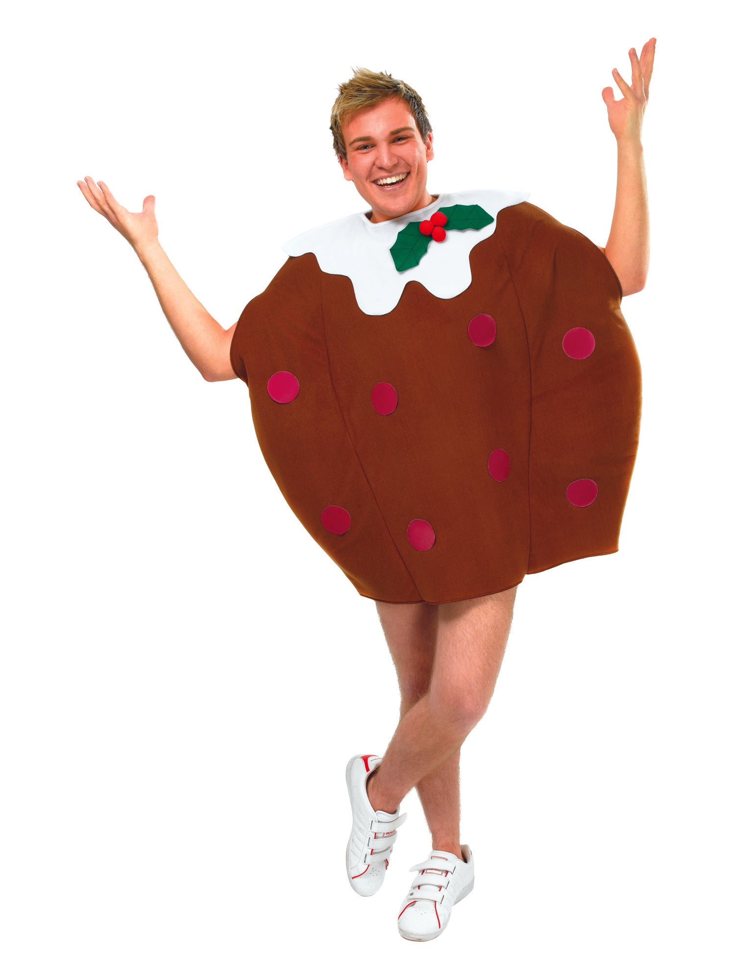 Christmas Pudding, Multi, Generic, Adult Costume, Standard, Front