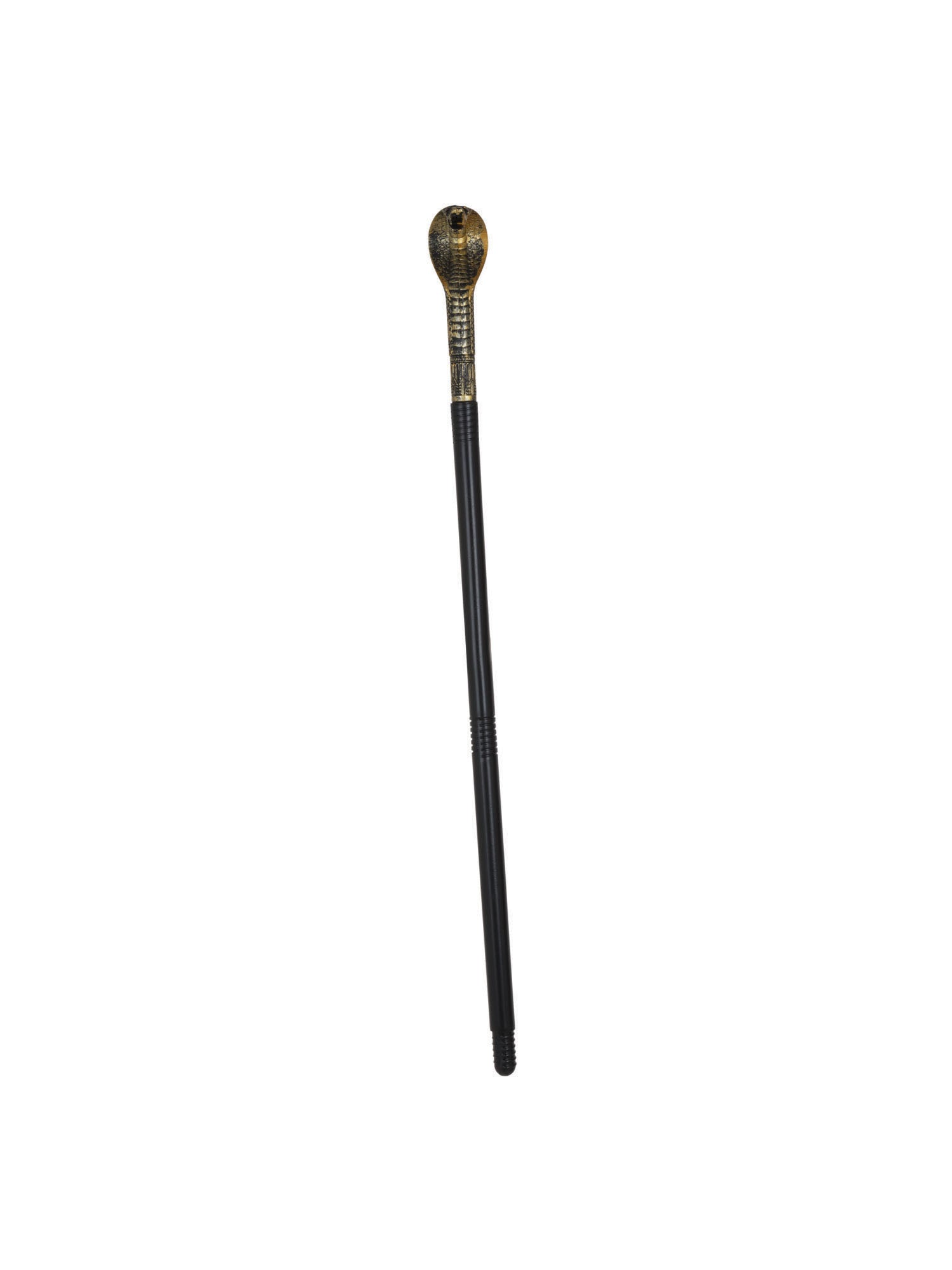 Cane, Multi, Generic, Accessories, One Size, Front